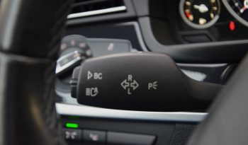 Tikko ievests. BMW 525 X. Drive Dīzelis ar automātisko ātrumkārbu. full