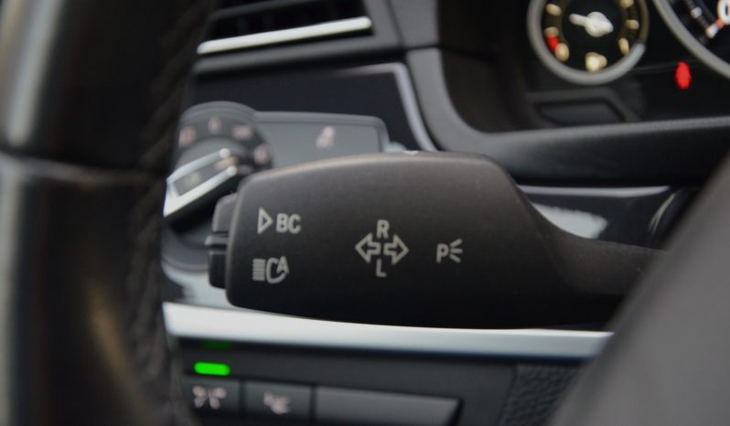 Tikko ievests. BMW 525 X. Drive Dīzelis ar automātisko ātrumkārbu. full