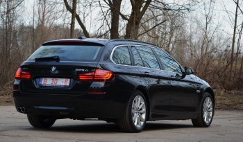 Tikko ievests. BMW 525 X. Drive Dīzelis ar automātisko ātrumkārbu. full