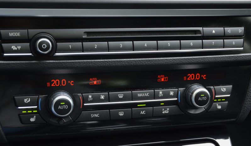 Tikko ievests. BMW 525 X. Drive Dīzelis ar automātisko ātrumkārbu. full